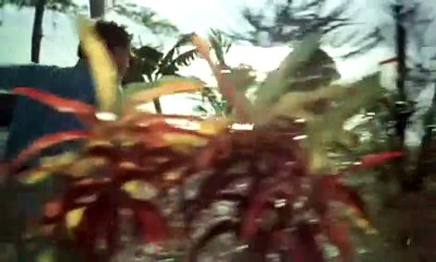 Le Sauvage Bande-annonce VF