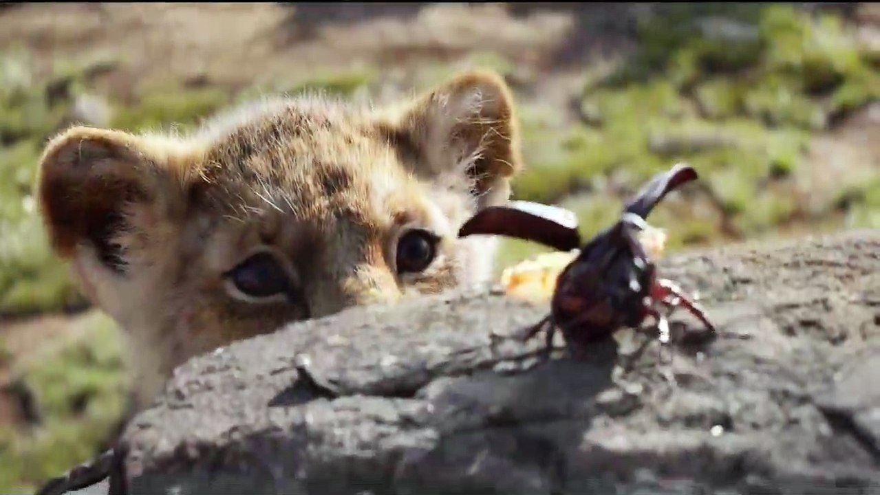 La bande-annonce vidéo du Roi Lion en version live-action. QUIZ Le Roi Lion, Cendrillon, Aladdin... Connais-tu les secrets des remakes Disney ?