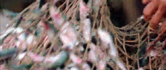 Son of God Bande-annonce VO