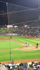 The Rochester Redwings Bat Dog is a Good Boy
