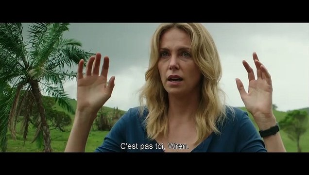 The Last Face Bande-annonce VO