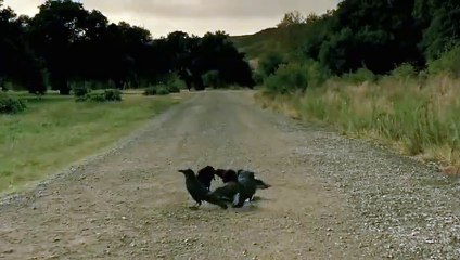 Justified - saison 5 Teaser VO