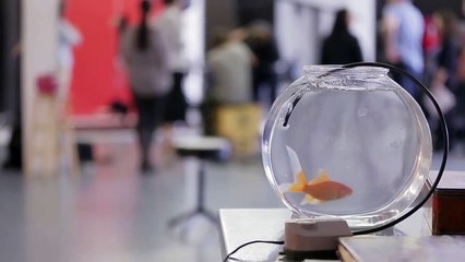 Amélie Poulain, le musical