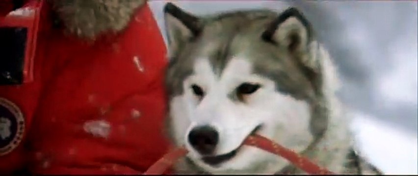 Antartica, prisonniers du froid Bande-annonce VF