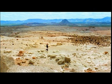 Wim Wenders évoque la genèse du projet