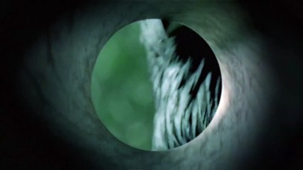 Justified - saison 5 Teaser (3) VO