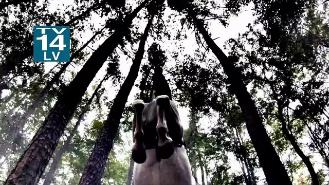 Sleepy Hollow - saison 1 - épisode 8 Teaser VO