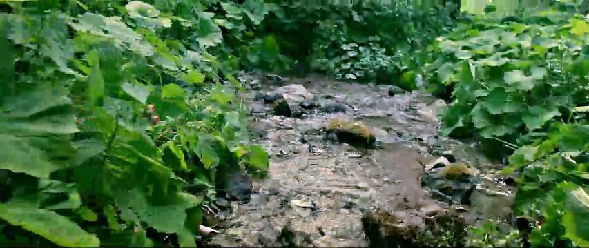 Minuscule - EXTRAIT Le guet-apens