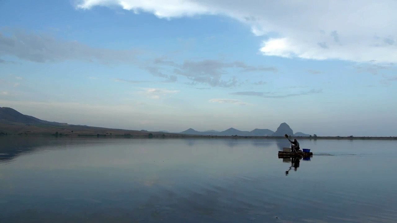 Resident Forever Bande-annonce VO