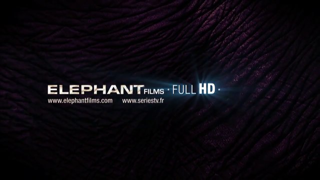 Double Assassinat dans la rue Morgue Bande-annonce VO