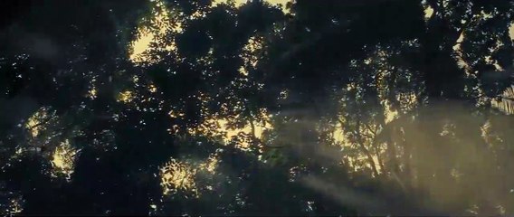 The Lost City of Z Teaser VO