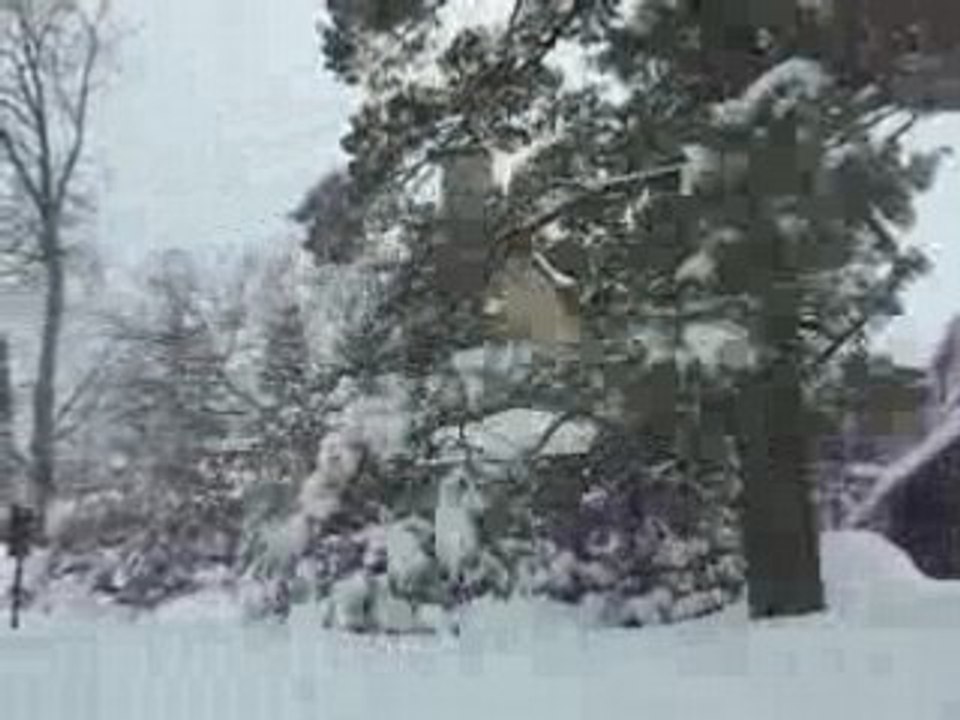 Along the rideau canal