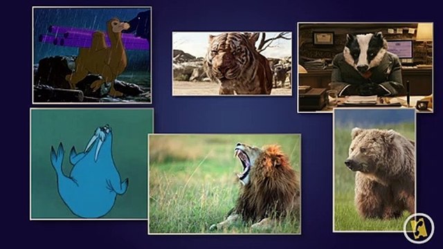 Give Me Five - Chewbacca