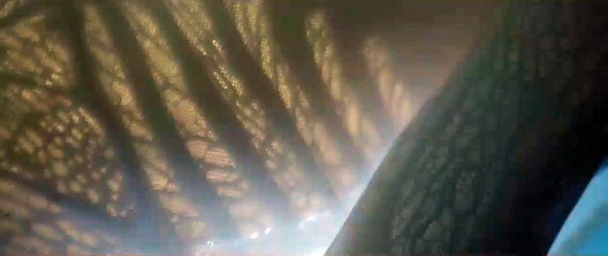 Alien : Covenant - Teaser Découvrez Walter VO