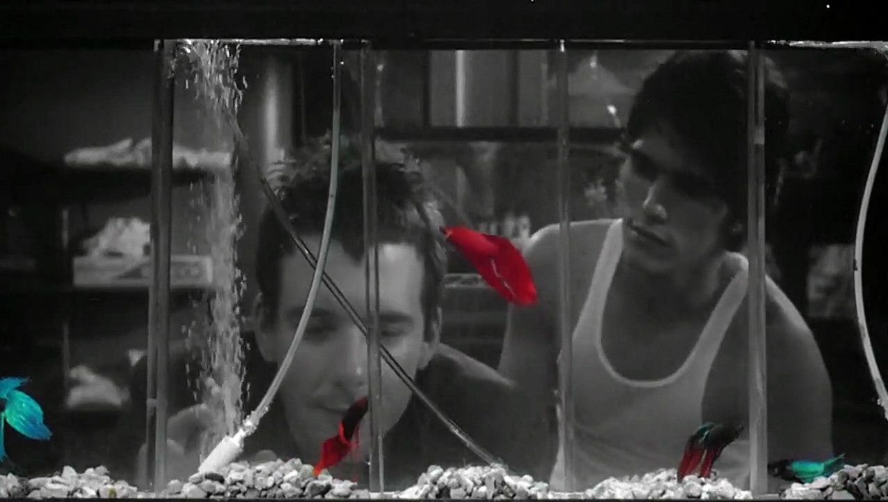 Rusty James EXTRAIT VO "Poissons combattants"