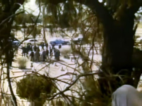 Ninja 3 : la domination Bande-annonce VO