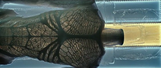 Alien: Covenant EXTRAIT VO "Créé pour servir"