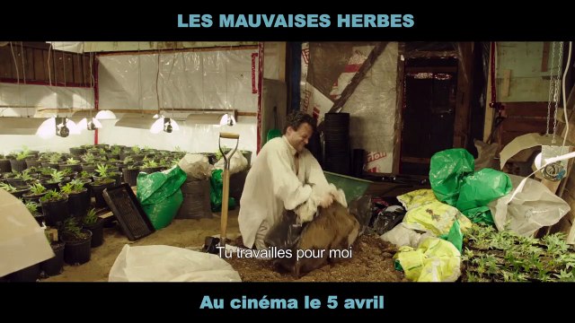 Les Mauvaises herbes Bande-annonce VF