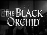 L'Orchidée noire Bande-annonce VO