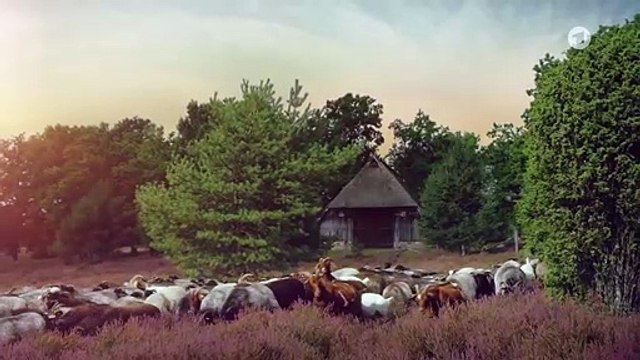 Rote Rosen Folge 3542