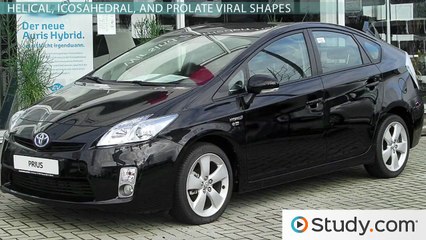 Shapes of a Virus- Helical, Icosahedral, Prolate, Complex & Enveloped -