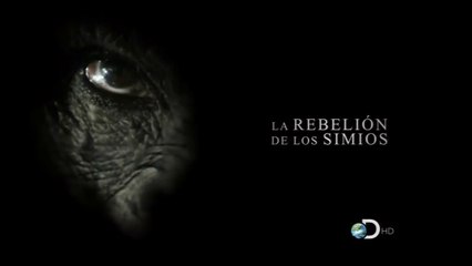 La rebelión de los simios Part 1