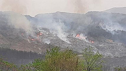 Download Video: Hatay'da orman yangını iki noktada devam ediyor