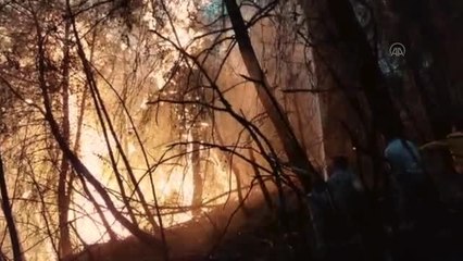 Son dakika haberleri: Ormanlık alanda çıkan yangın iki noktada sürüyor (2)