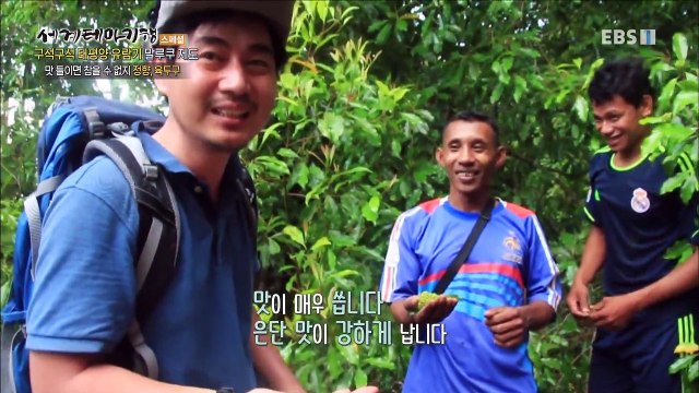 세계테마기행 - 구석구석 태평양 유람기- 적도의 섬, 술라웨시_#003