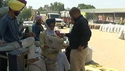 ਖਰੜ ਮੰਡੀ 'ਚ ਕਿਸਾਨਾਂ ਦੇ ਬੋਲ; ਬਦਲੇ ਮੌਸਮ ਕਾਰਨ ਘਟਿਆ ਫਸਲ ਦਾ ਝਾੜ