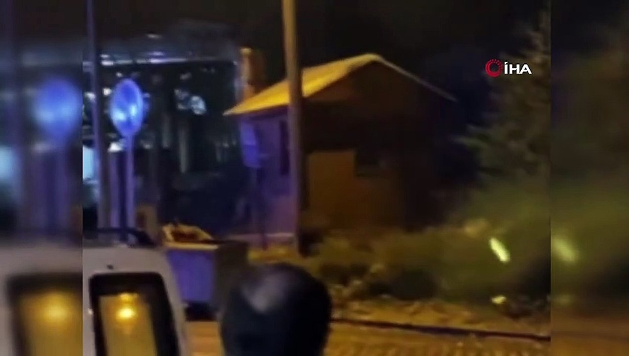 Karşılarına ayı çıkan tatilcilerin panik anları kamerada