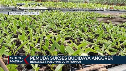 Pemuda Sukses Budidaya Anggrek Beromzet Puluhan Juta Rupiah