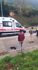 BURSA'DA CHP'Lİ EREN OK, KAZADA YAŞAMINI YİTİRDİ