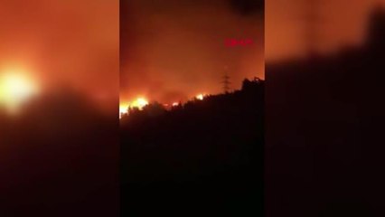 Son dakika haberi... HATAY'DA ORMAN YANGINI