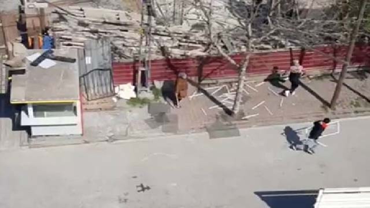 Yaşlı kadın eline demir sopa aldı, hırsızları kovaladı