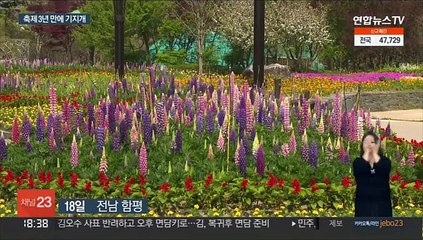 함평 나비축제 날갯짓…지역축제들 3년 만에 기지개
