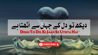 Dekh To Dil Ki Jaan Se Uthta Hai | Meer Taqi Meer | Poetry Junction