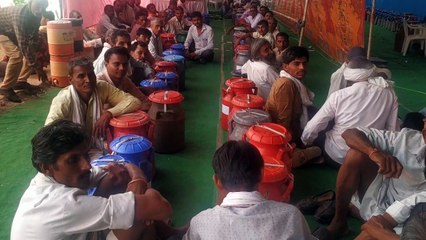 राजस्थान में इस खेती पर महाराष्ट्र, यूपी और पंजाब के बड़े लोगों का है विशेष फोकस