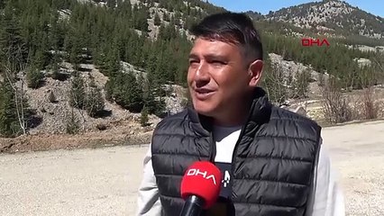 Bir garip ''dostluk'' hikayesi! Oğlum diye çağırıp, elleriyle besliyor