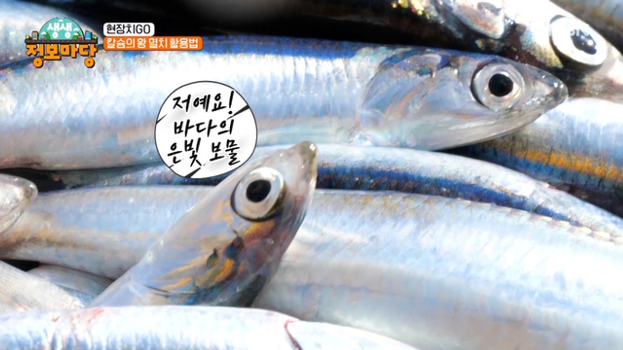 칼슘 하면 이거지! 바닷속 반짝반짝 은빛 보물의 정체는??