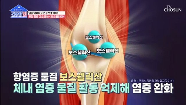 염증 억제와 연골 보호로 관절건강을 지켜주는 『보스웰리아』 TV CHOSUN 20220418 방송