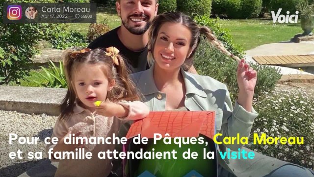 VOICI : Carla Moreau en panique : plusieurs sangliers dans son jardin, elle craint pour son château