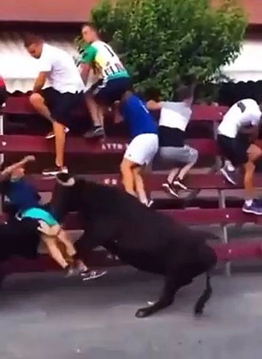 Il esquive un taureau mais pas le deuxième !