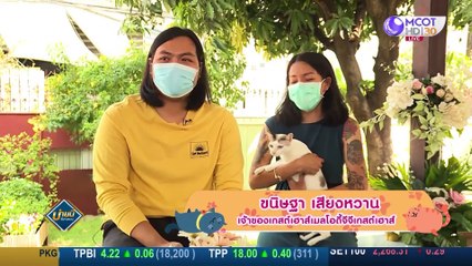 (คลิปเต็ม) Hide & Seek "ทรายแมวรักษ์โลก" ผลิตจากมันสำปะหลัง | บ่ายนี้มีคำตอบ (18 เม.ย. 65)