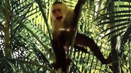 Karina    Too much to drink  Ozzie Shad Remix