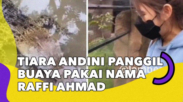 Viral Tiara Andini Panggil Buaya pakai Nama Raffi Ahmad Tuai Kecaman: Gak Sopan!