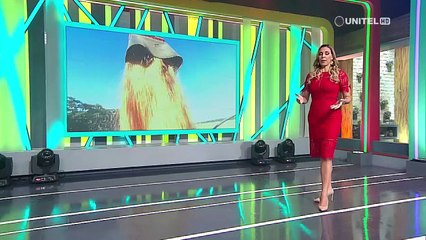 Productor advierte que escasez de maíz afectará a todo el sistema cárnico