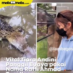 Waduh, Tiara Andini Dikecam Gegara Panggil Buaya Pakai Nama Raffi Ahmad