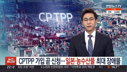 CPTPP 가입 곧 신청…일본·농수산물 최대 장애물