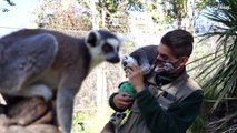 Los animales del zoo de Santiago también disfrutan de los huevos de Pascua